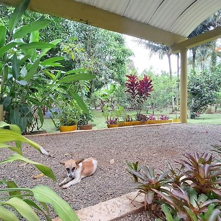 Villa Anacahuita, Limonal Jarabacoa Buitenkant foto