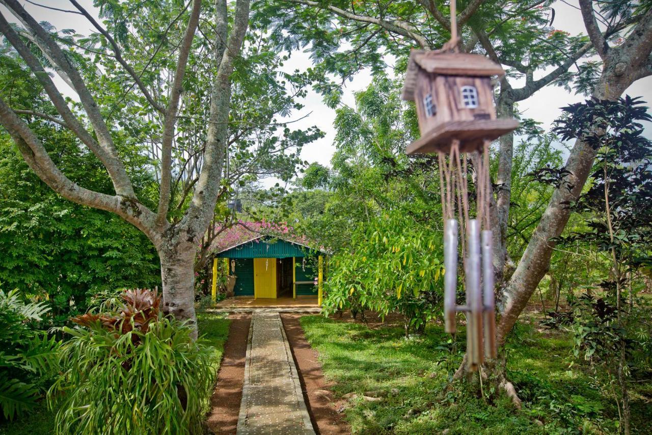 Villa Anacahuita, Limonal Jarabacoa Buitenkant foto